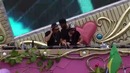 Wolfpack – Live @ TomorrowWorld, United States (27.09.2014)