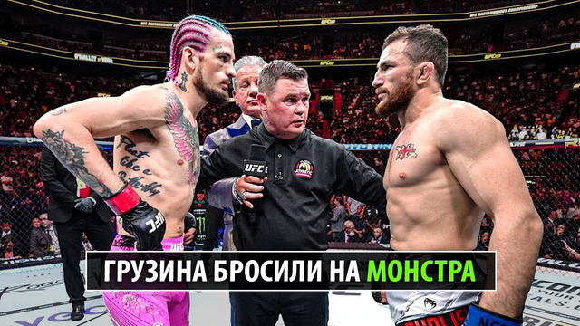 Дрищ-Нокаутер Разнесет? Бой Шон О“Мэлли VS Мераб Двалишвили UFC 306 / Разбор и Прогноз