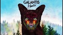 Galantis – Hunter (Official Audio)