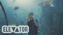 Astral OG – Sink Or Swim (Official Music Video 2018)