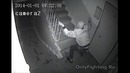 Зомби возвращается домой