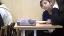 Пары утомляют