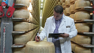Итальянские производители пармезана начинают чипировать свой сыр