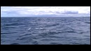 Extrem-Popping-Jigging with Hotel emeraude Diego suarez.MADAGASCAR