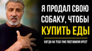 Как Добиться Успеха Несмотря Ни На Что! Сильвестр Сталлоне – Сильная Мотивация