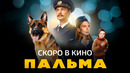 Почему надо смотреть «Пальму» в кино