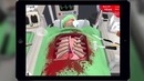 Surgeon Simulator для iPad – скальпель