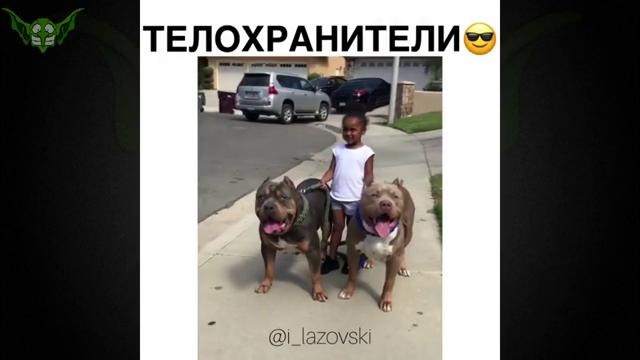 ЛУЧШИЕ ПРИКОЛЫ 2017 ДЕКАБРЬ | Лучшая Подборка Приколов ТОПОВЫЕ Приколы # 220