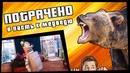 В пасть к медведю | ПОТРАЧЕНО