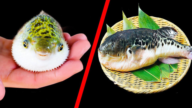 Если будете путешествовать по Японии, ни за что не ешьте рыбу