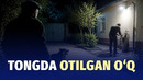 Tushimga kirib, ot dedi” – bir jinoyat tafsiloti