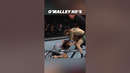 Every Sean O’Malley Knockout #ufc #mma
