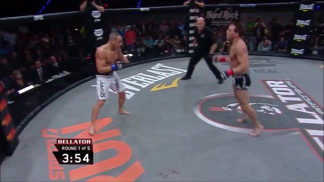Eddie Alvarez vs Michael Chandler (fight highlights)