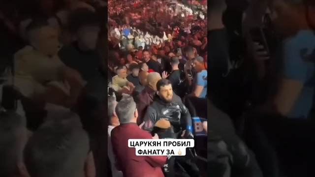 Арман Царукян пробил фанату за неприличный жест