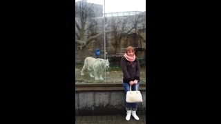 Экстремальное видео с зоопарка