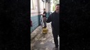 Праздничное шампанское | ПОТРАЧЕНО