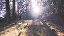 Fabio Wibmer Electric Trial Fun