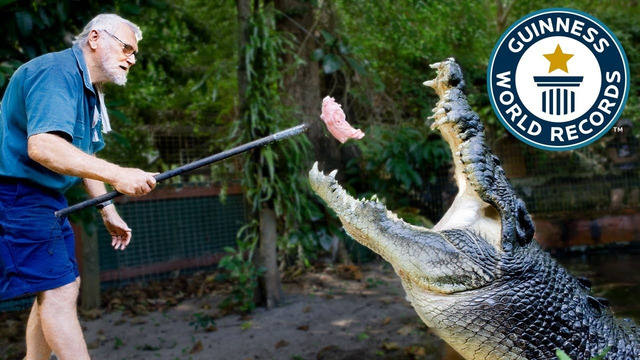 Meet Cassius, World’s Largest Crocodile! – Guinness World Records