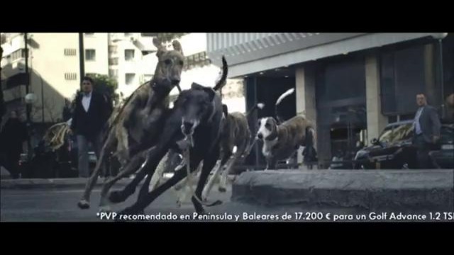 Volkswagen Golf Rabbit. Собачьи бега