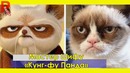 Животные из мультфильмов в реальной жизни