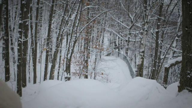 Montreal snowboarding run