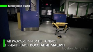 Тяжёлые будни робота из Boston Dynamics