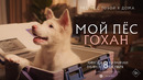 МОЙ ПЁС ГОХАН | официальный трейлер