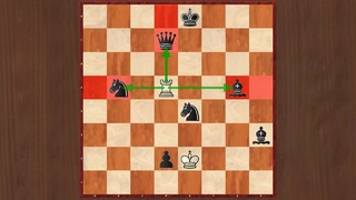 Правила шахмат. Занятие 1. Ходы ладьи и слона. (16 и 18 сентября)