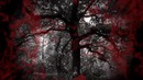 The Heretic Order – The Forest Of The Impaled (Lyric Video 2018)
