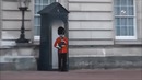 Нервнный Гвардейцы (Queens Guard)