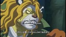 One Piece 767 (Shachiburi)