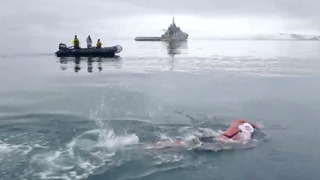 Рекордный заплыв совершила чилийская «ледяная русалка» в водах Антарктики