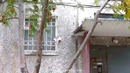 Лучшие приколы за неделю (выпуск 75)
