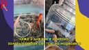 С такими людьми никогда не бывает скучно