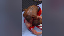 When Bobby Green Was In STRIKEFORCE MMA