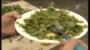 Полезное свойство одуванчиков