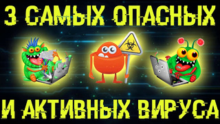 3 самых опасных и популярных вируса сейчас на ваших ПК