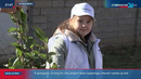 «Click» kompaniyasining «Yashil makon» umummilliy loyihasidagi ishtiroki