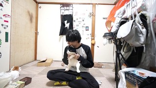 Махото:Моя кошка сначало игнорирует, а потом ревнует игрушку лоооолwwwwww