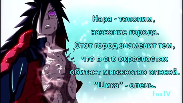 Интересные факты из мира – Naruto – #3