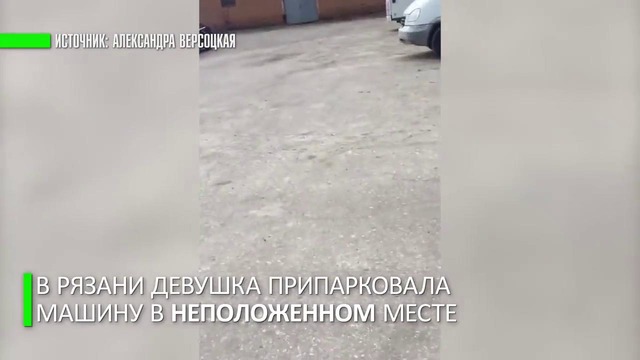 Эвакуировали машину вместе с собакой