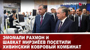 Эмомали Рахмон и Шавкат Мирзиёев посетили Хивинский ковровый комбинат