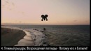 10 смехотворных выживаний в кино