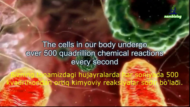 Hujayra bilan tanishuv