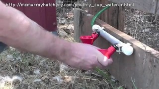 How to Install water nipple for chicken – YouTube