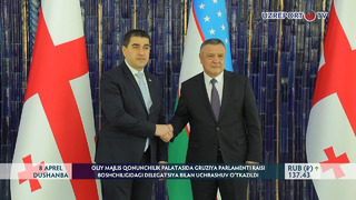 Gruziya Parlamenti raisi boshchiligidagi delegatsiya bilan uchrashuv o‘tkazildi