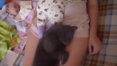 Спят усталые девчонки
