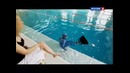 Наука 2.0. Приключения тела. Испытание глубиной