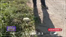 Qariyb 2 kilogramm giyohvandlik vositalari noqonuniy tarqatilishining oldi olindi