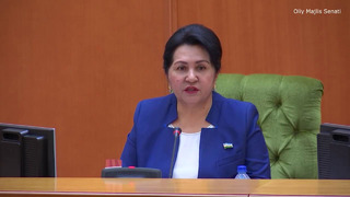 Senat Raisi Tanzila Narbaeva: "Muammolar joyida hal bo’lishi kerak!"